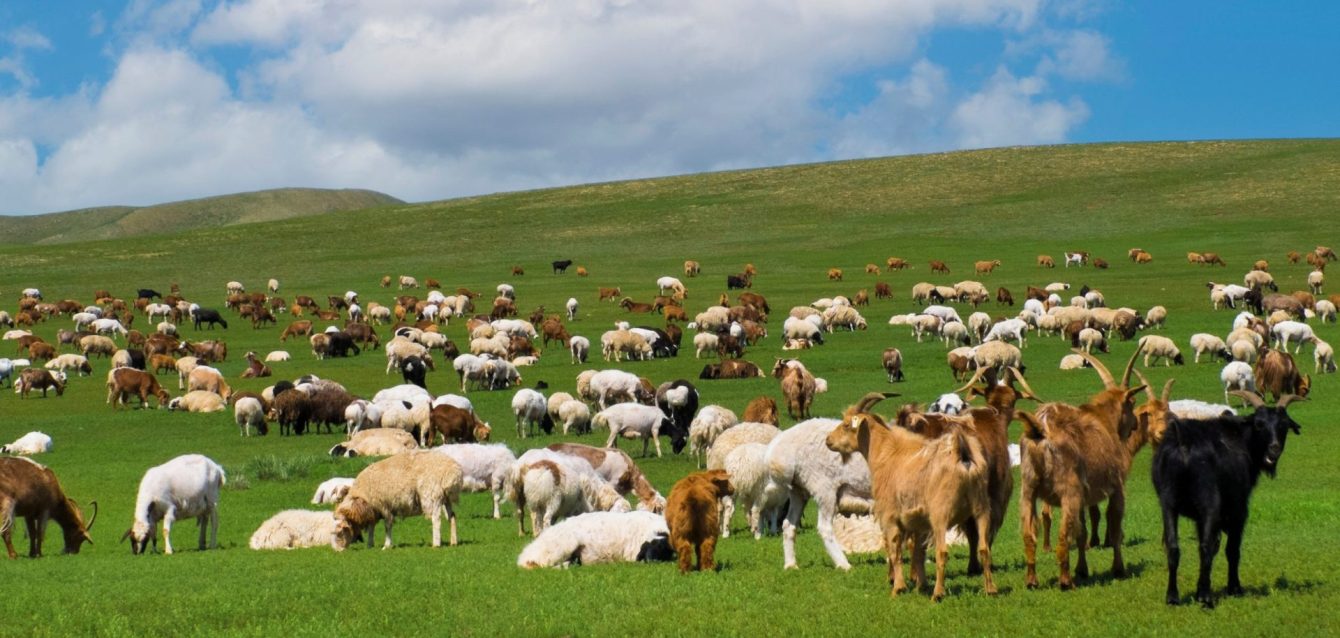 ead blog (4) ead blog (4)