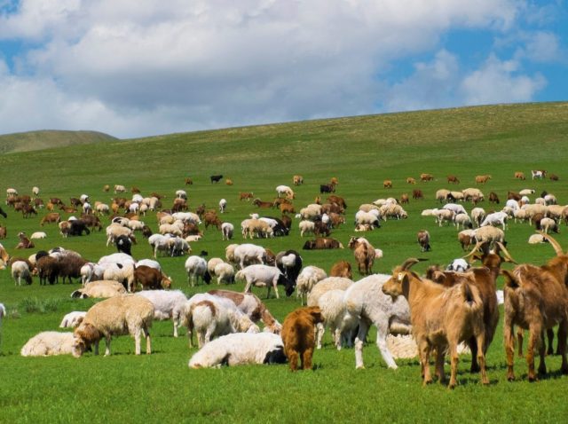 ead blog (4) ead blog (4)